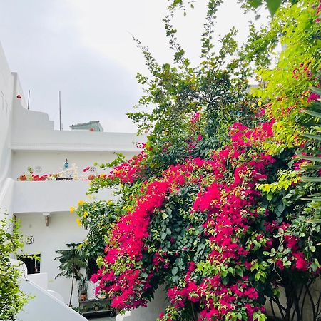 Mosaics Guest House جايبور المظهر الخارجي الصورة