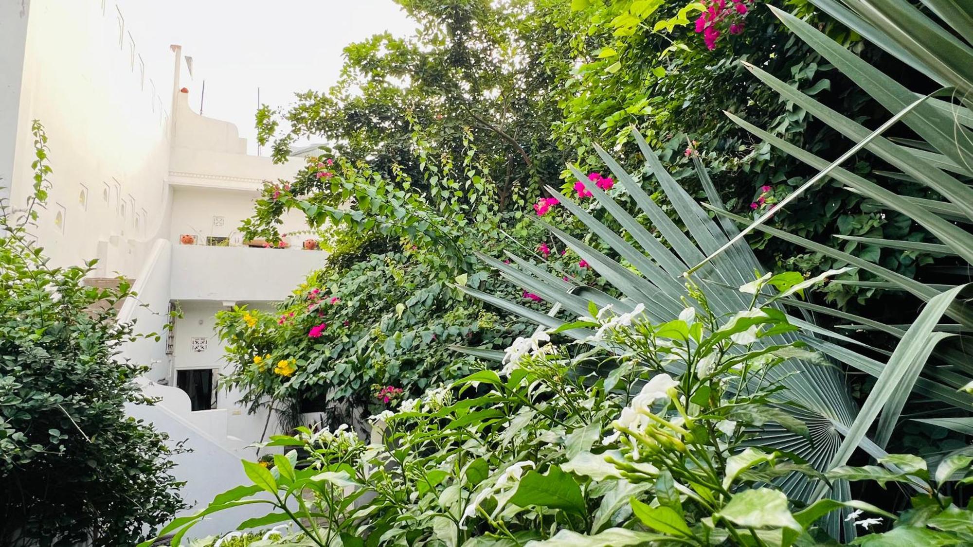 Mosaics Guest House جايبور المظهر الخارجي الصورة