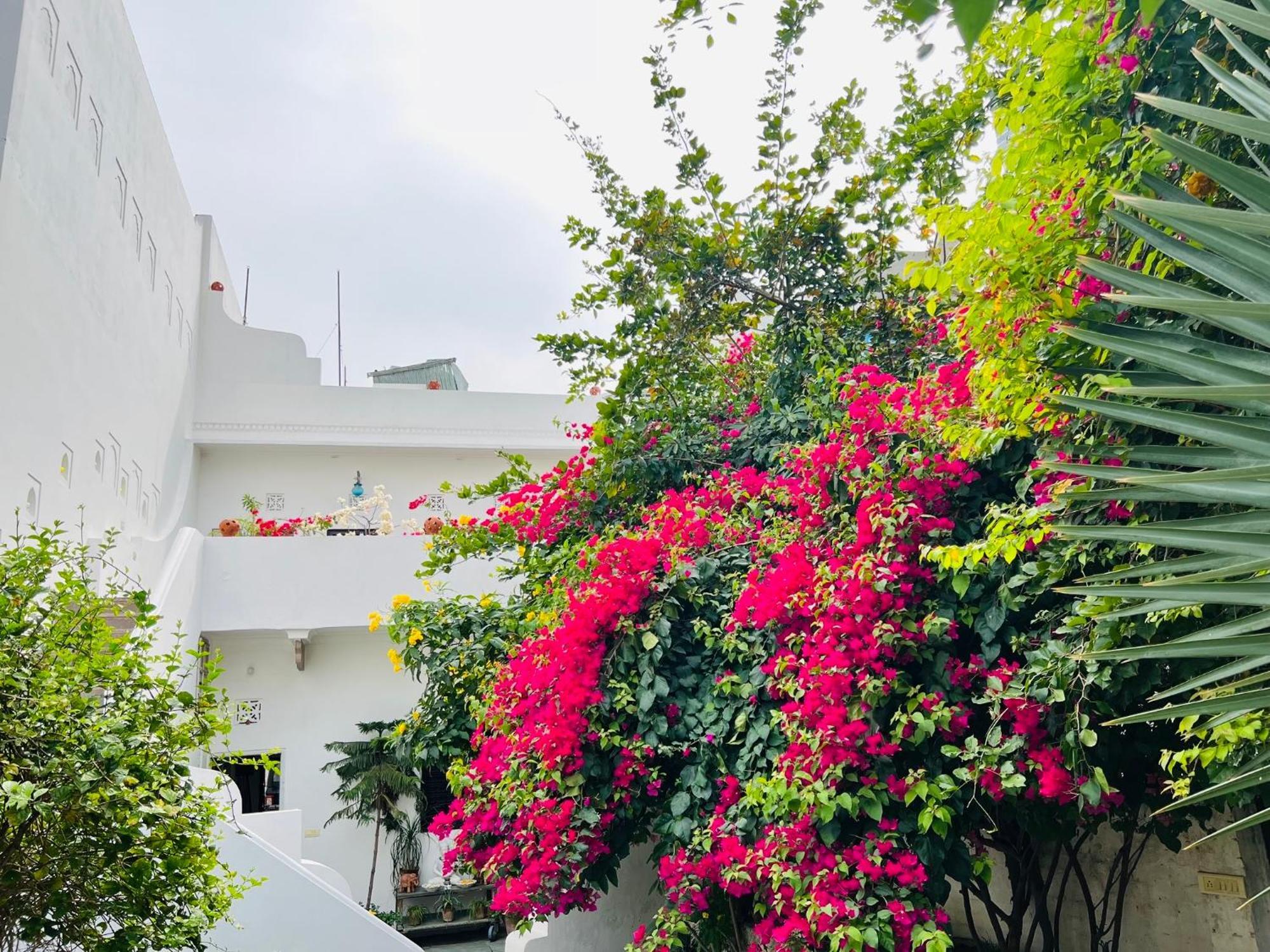 Mosaics Guest House جايبور المظهر الخارجي الصورة