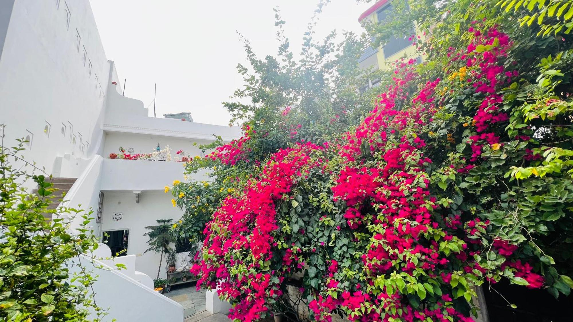 Mosaics Guest House جايبور المظهر الخارجي الصورة