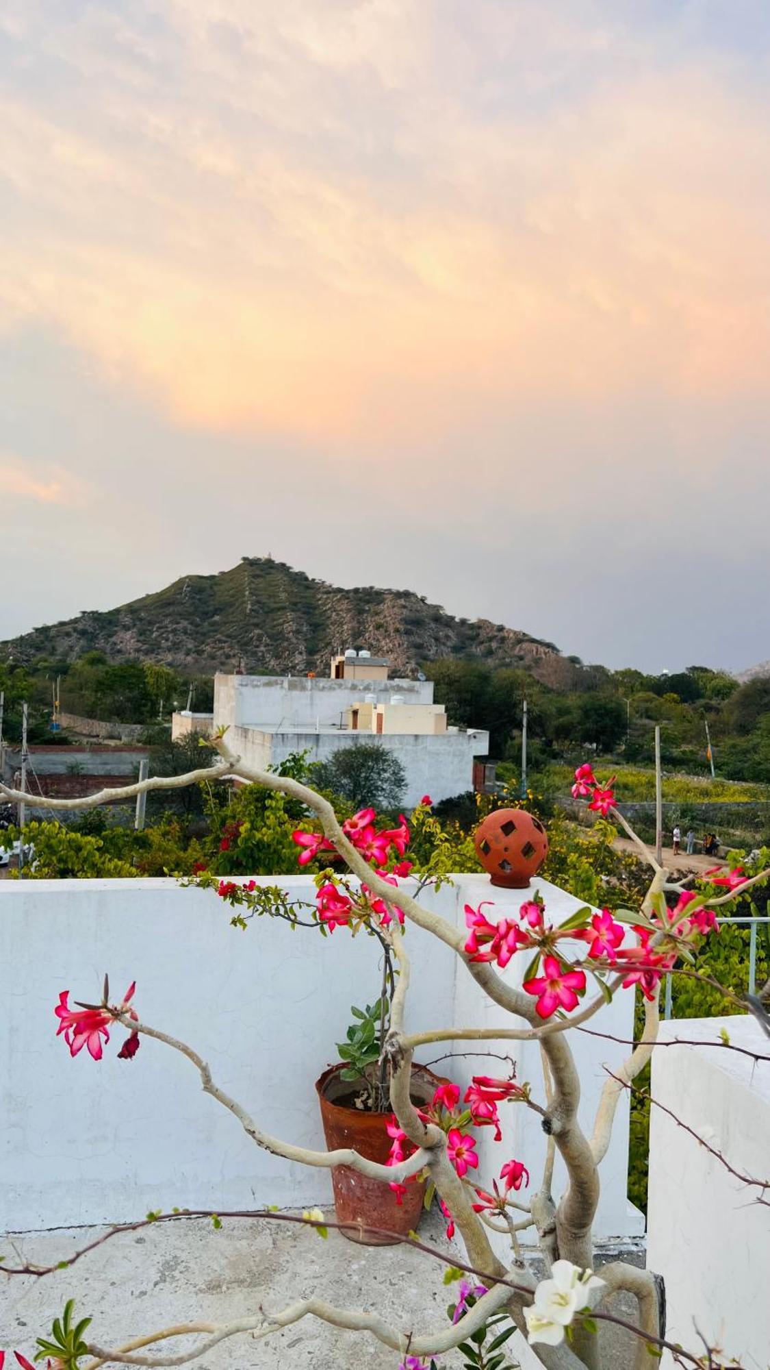 Mosaics Guest House جايبور المظهر الخارجي الصورة