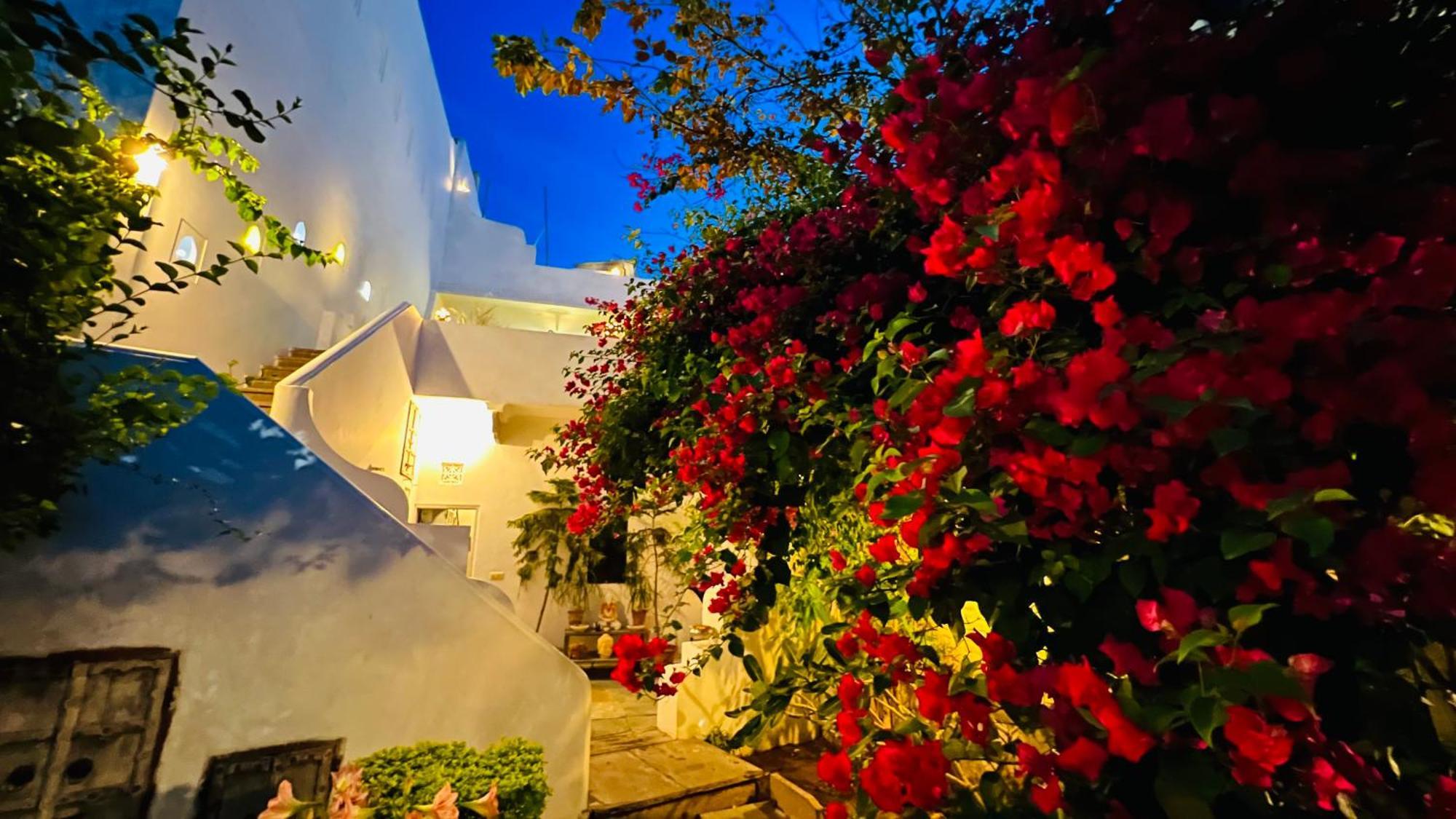 Mosaics Guest House جايبور المظهر الخارجي الصورة